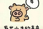 发出小牛的声音表情包（牛）