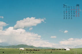 March 2022 Eye Protection Grassland Scenery Calendar Wallpaper Picture