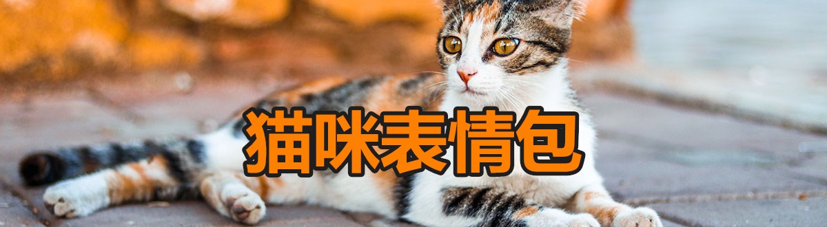 Complete collection of cat expression packs