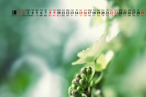 January 2022 elegant eye-protecting green calendar wallpaper