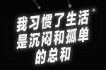 我习惯了生活 是沉闷和孤单的总和