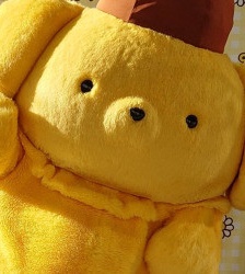 布丁狗萌萌頭像