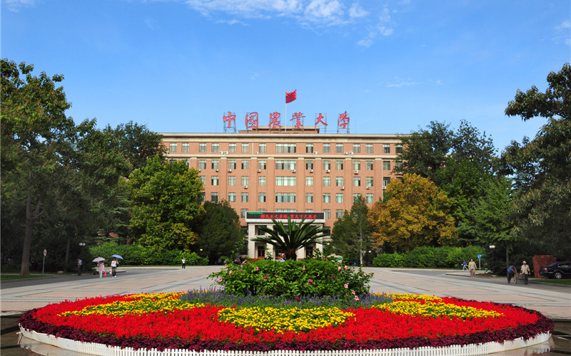 中国农业大学校园风景图片