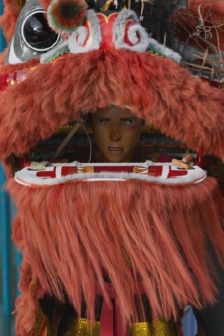 Movie Lion Junior official mobile wallpaper