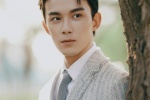 吴磊灰色西服儒雅帅气写真图片