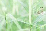 2021年4月護眼綠色風景桌麵日曆壁紙