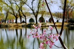 April 2021 cherry blossom pictures desktop calendar wallpaper