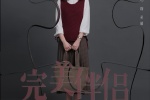 电视剧《完美伴侣》海报图片