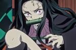 Nezuko Kamado anime self-cut avatar