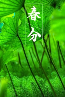 Twenty-four solar terms and spring equinox picture material