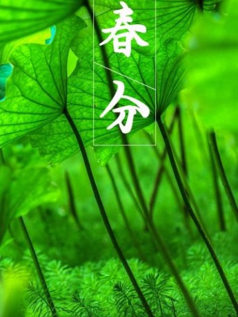 二十四节气春分图片素材