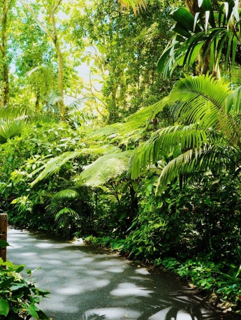 小清新綠色護眼手機壁紙