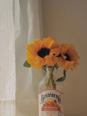 Sunflower HD Wallpaper