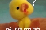Summary of little yellow duck emoticons