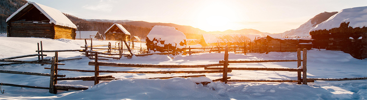 雪景手机壁纸大全