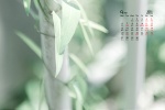 2021年9月护眼绿植风景桌面日历壁纸