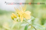 March 2022 small fresh natural scenery calendar wallpaper