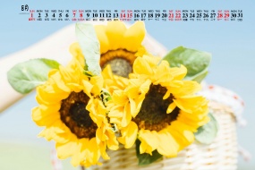 August 2021 fresh sunflower desktop calendar wallpaper