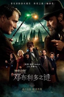 Movie《Fantastic Beasts: Dumbledore Mysteries》Poster Picture