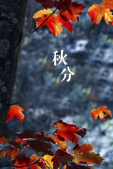 Twenty-four solar terms and autumnal equinox mobile wallpaper