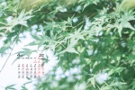 April 2022 green scenery eye protection computer calendar wallpaper