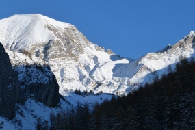 唯美冬季雪景桌面壁纸