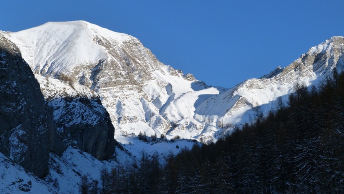 Beautiful winter snow desktop wallpaper