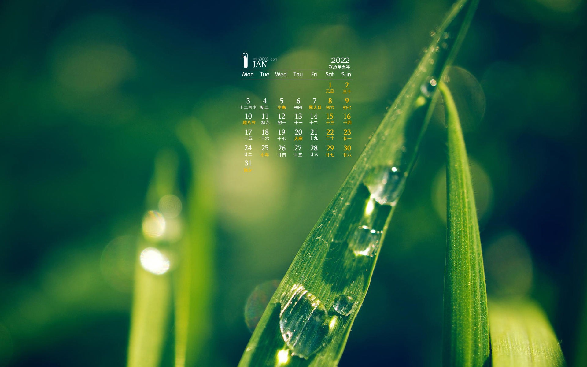 2022年1月翠绿色的树叶水滴桌面日历壁纸