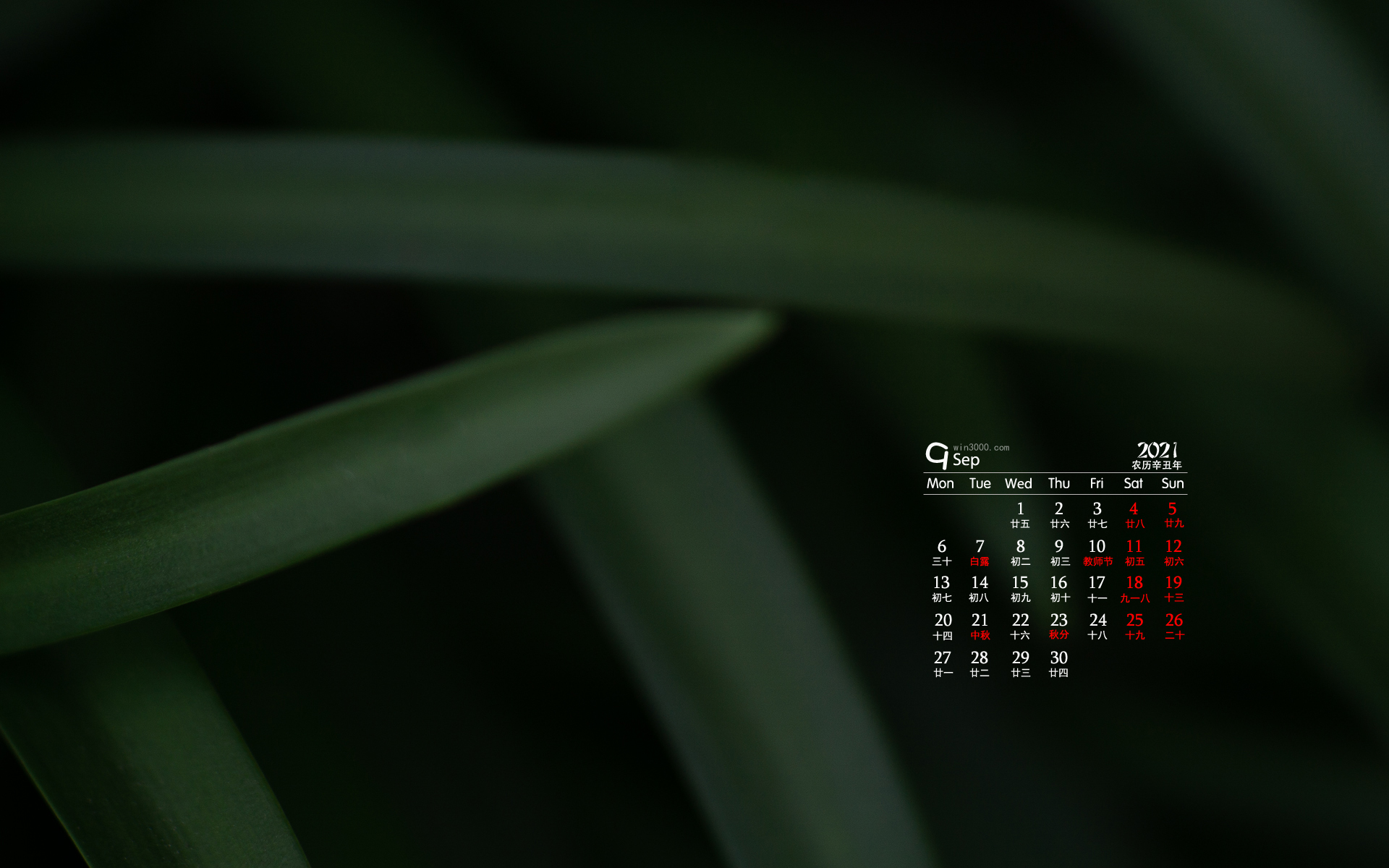 2021年9月翠绿色植物电脑日历壁纸