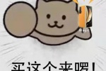 买这个来啰