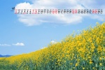 May 2022 fresh blue sky and green land scenery calendar wallpaper