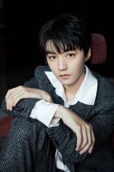 Wang Junkai retro modern gentleman handsome photo