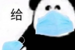 熊猫头给口罩表情包