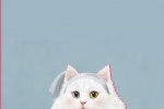 Soft and cute simple hand-painted illustration mobile wallpaper