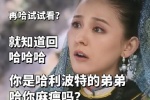 再哈试试看？就知道回哈哈哈
你是哈利波特的弟弟哈你麻痹吗？