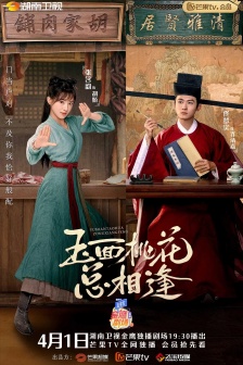 電視劇《玉麵桃花總相逢》海報圖片