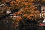 秋分節氣之園林風景唯美攝影圖片壁紙