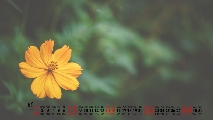 Eye-protecting flowers and beautiful desktop calendar wallpaper for August 2021