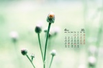 Eye-protecting natural scenery desktop calendar wallpaper for April 2021