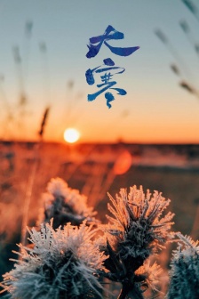 大寒节气手机壁纸图片