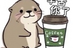 水獭辛苦你了表情包