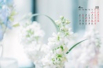 April 2022 Eye Protection HD Desktop Calendar Wallpaper