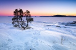 HD winter snow pictures desktop wallpaper