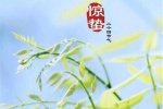 2022 Jingzhe solar term beautiful high-definition pictures