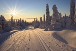 HD winter snow pictures desktop wallpaper