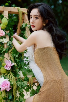 Sexy photo of Yang Mi in golden white gauze collar high slit dress