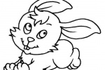 Rabbit simple drawing picture