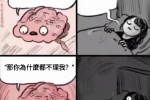 睡了吗
是的晚安
那你为什么都不理我