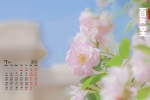 2021年7月節氣夏至桌麵日曆壁紙