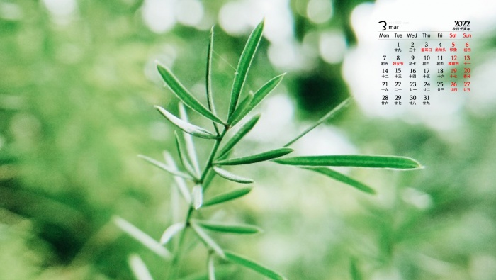 March 2022 eye-protecting green plants desktop calendar wallpaper picture